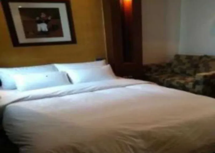 Venezia Tourist Hotel 首爾
