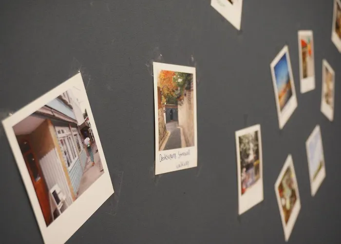 Mama Guesthouse Myeongdong Séoul acceptant les animaux